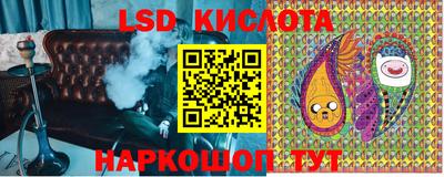 дмт Донской