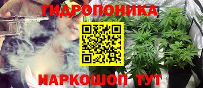 дмт Донской