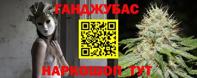 дмт Донской
