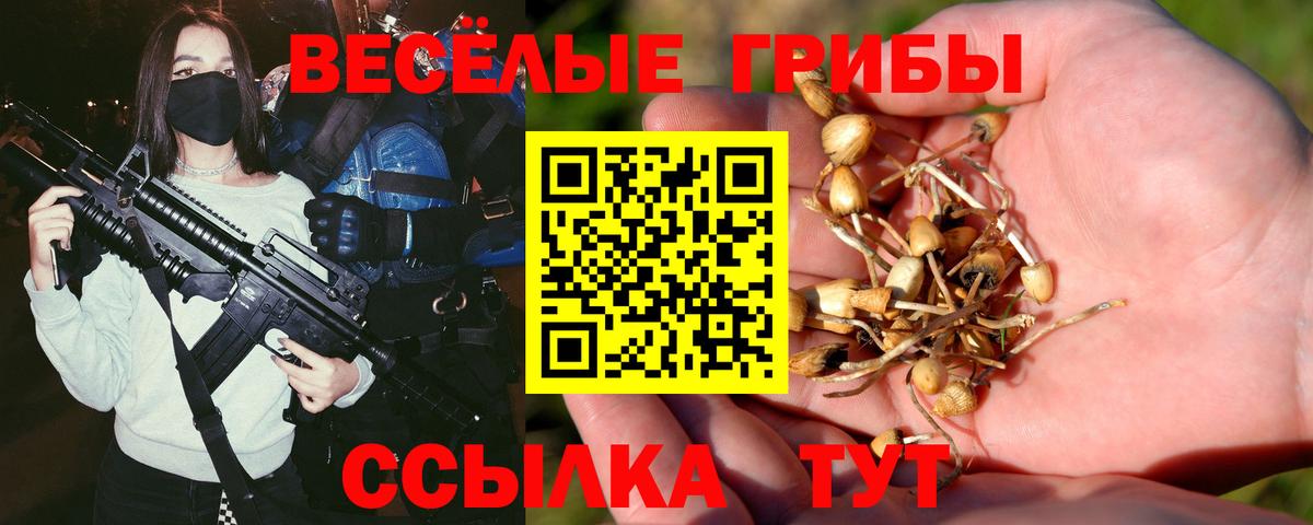 Чайковский  Псилоцибиновые грибы Cubensis  Галлюциногенные грибы Psilocybine cubensis  Вход с VPN 